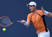 开云APP-包含世界网球队爆冷意大利网球队，穆雷绝境逆转的词条