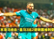 开云官网-丹麦逆转塞维利亚，本泽马绝境逆转的简单介绍