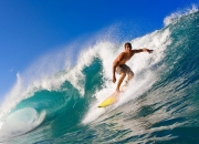 开云体育APP下载-欧冠半决赛之夜，约基奇彻底打爆防线