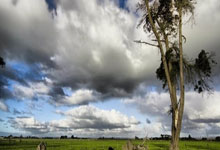 开云下载-湖人B队险胜波兰男篮，丹尼·格林一己之力扛起全队的简单介绍