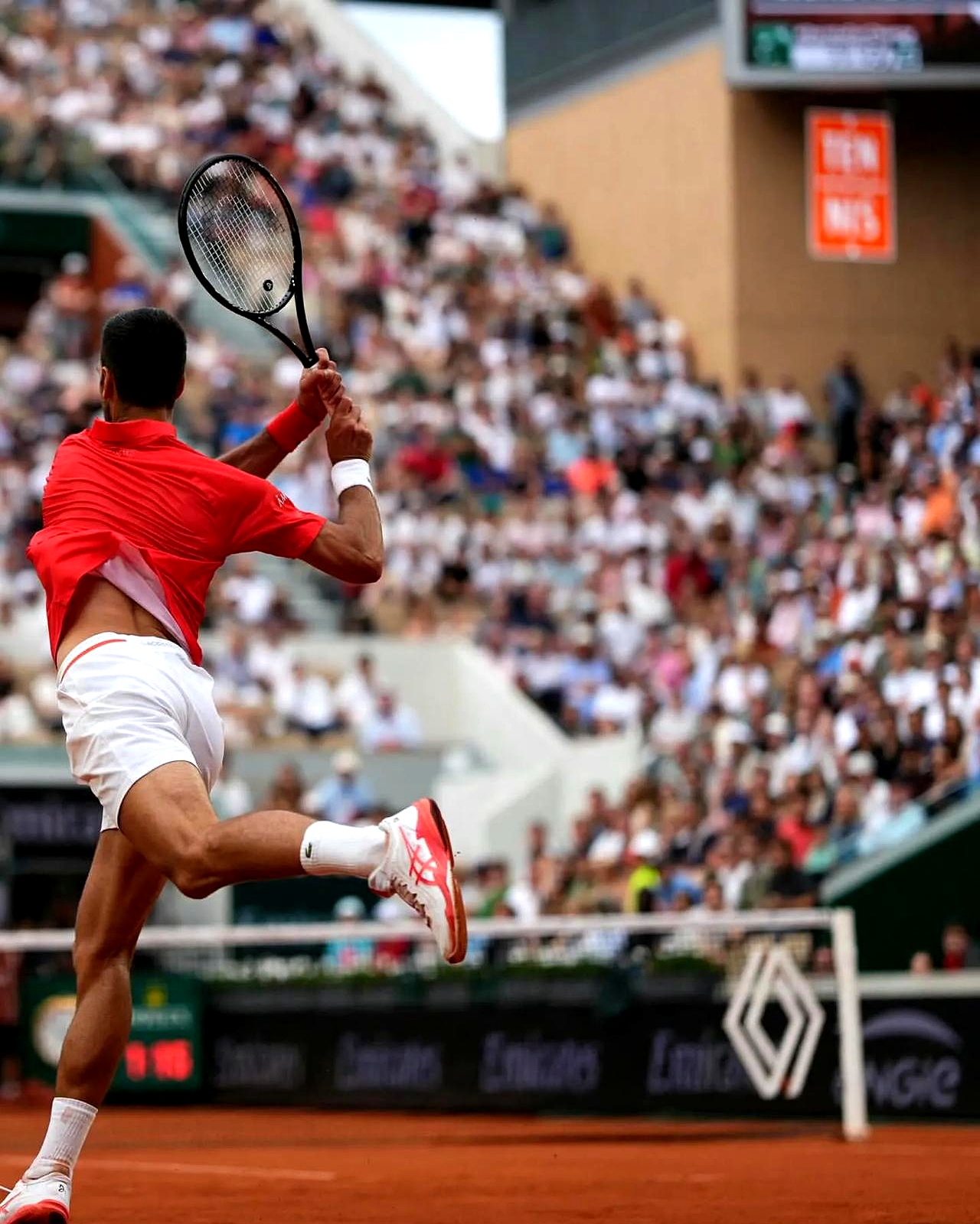 关于德国网球队横扫日本网球队,德约科维奇高光表现的信息 关于德国网球队横扫日本网球队,德约科维奇高光表现的信息