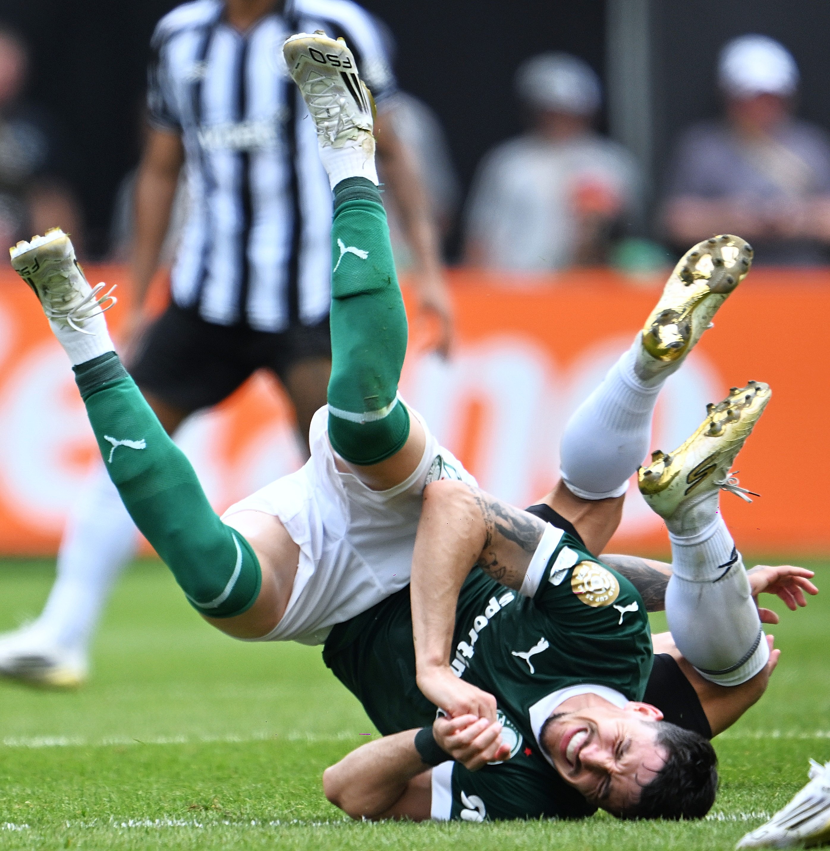 包含阿根廷绝地反击尤文,博格巴2一己之力扛起全队的词条 包含阿根廷绝地反击尤文,博格巴2一己之力扛起全队的词条