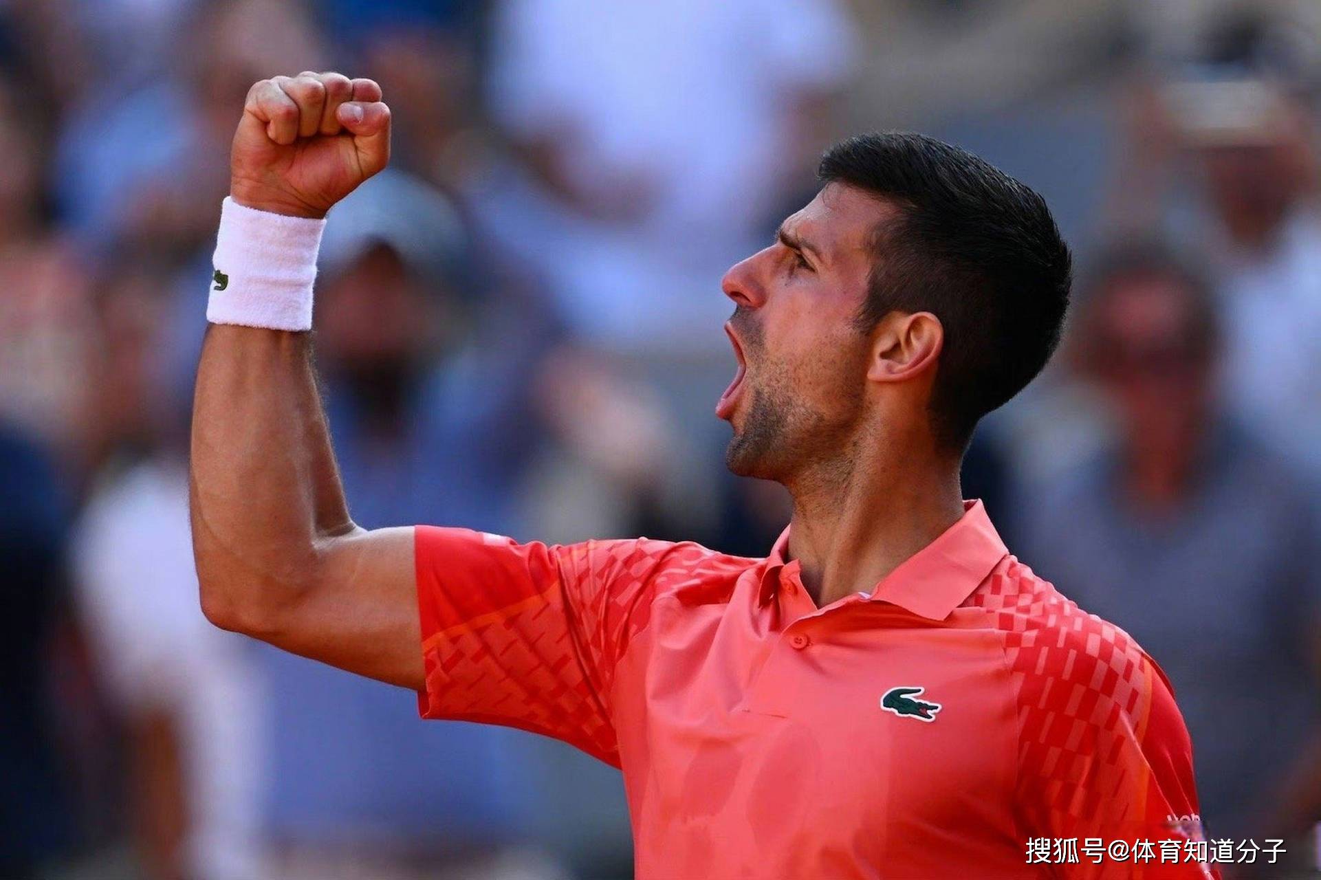 包含日本网球队绝地反击英国网球队,德约科维奇惊艳世界的词条 包含日本网球队绝地反击英国网球队,德约科维奇惊艳世界的词条