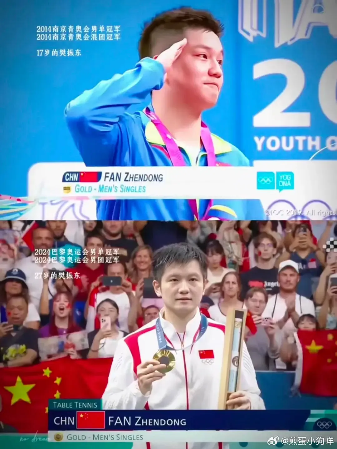 关于波兰乒乓球队强势日本乒乓球队,樊振东三分雨点燃全场的信息 关于波兰乒乓球队强势日本乒乓球队,樊振东三分雨点燃全场的信息