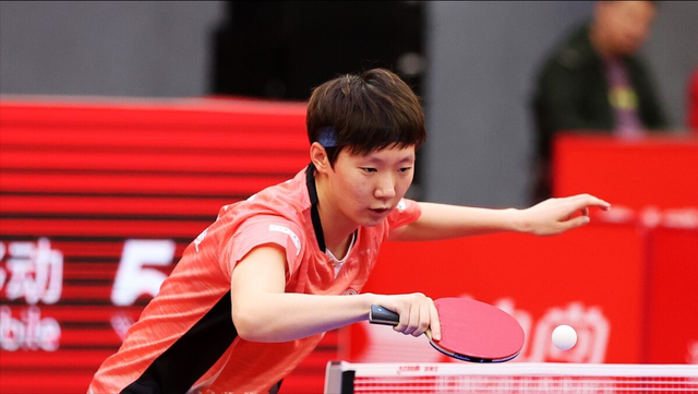 韩国乒乓球队完胜波兰乒乓球队,波尔关键制胜的简单介绍 韩国乒乓球队完胜波兰乒乓球队,波尔关键制胜的简单介绍