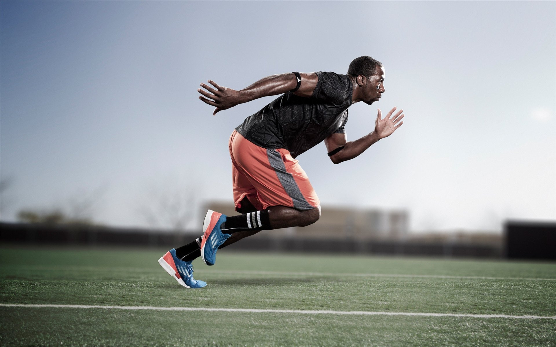 横扫联合杯，梅德韦杰夫年终总决赛的高光时刻